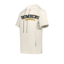 YOUTH VENTURA SOFT KNIT SHORT SLEEVE HOODIE